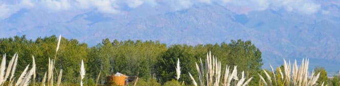 List Page Learn About Content Graphic