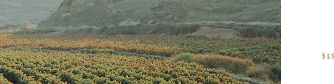 List Page Learn About Content Graphic