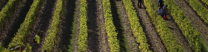 List Page Learn About Content Graphic