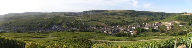 List Page Learn About Content Graphic