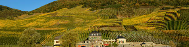 List Page Learn About Content Graphic