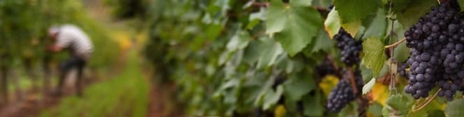 List Page Learn About Content Graphic