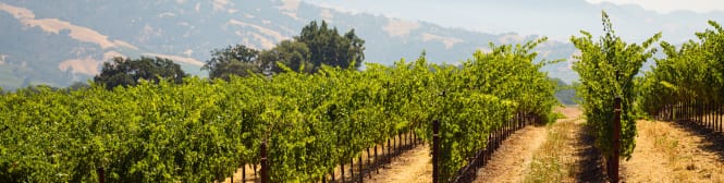 List Page Learn About Content Graphic