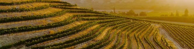 List Page Learn About Content Graphic