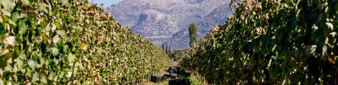 List Page Learn About Content Graphic