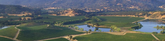 List Page Learn About Content Graphic