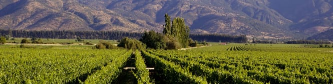 List Page Learn About Content Graphic