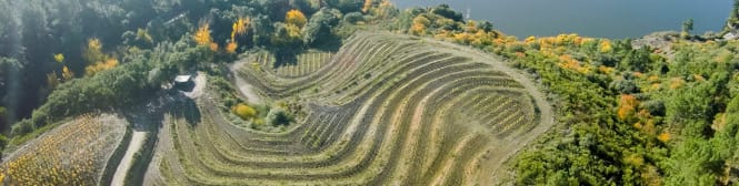 List Page Learn About Content Graphic