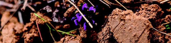 List Page Learn About Content Graphic