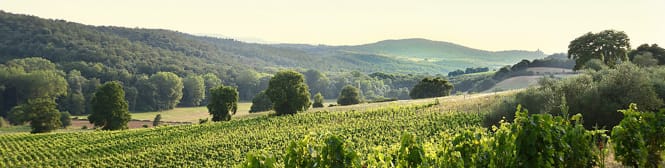 List Page Learn About Content Graphic