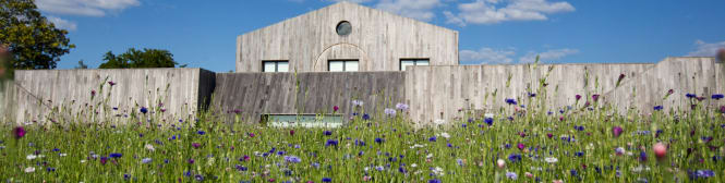 List Page Learn About Content Graphic