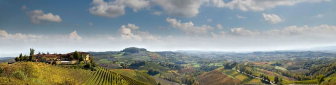 List Page Learn About Content Graphic