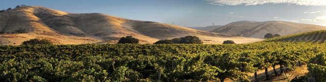 List Page Learn About Content Graphic