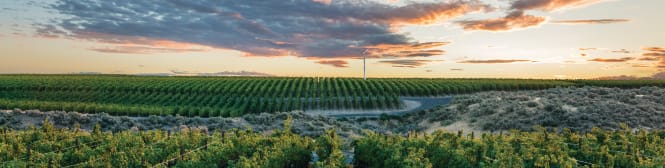 List Page Learn About Content Graphic