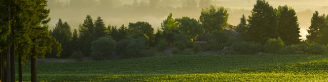 List Page Learn About Content Graphic