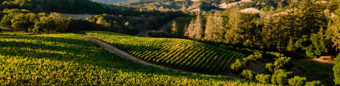 List Page Learn About Content Graphic