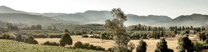 List Page Learn About Content Graphic