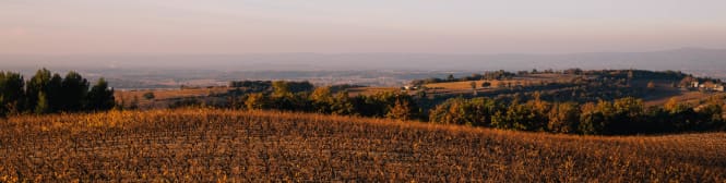 List Page Learn About Content Graphic