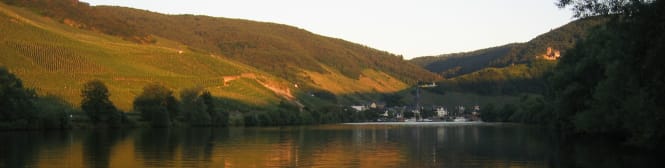 List Page Learn About Content Graphic