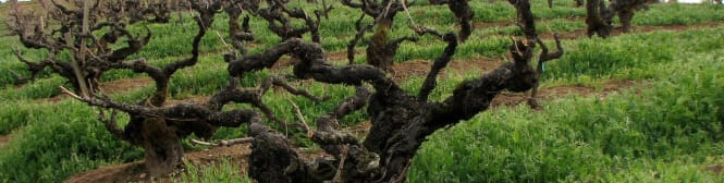 List Page Learn About Content Graphic