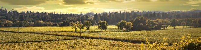 List Page Learn About Content Graphic