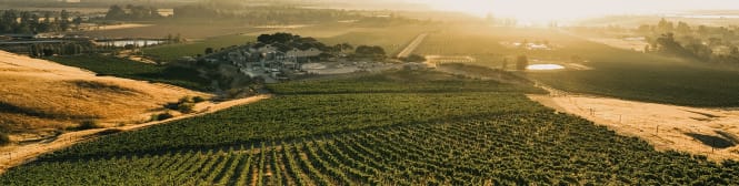 List Page Learn About Content Graphic