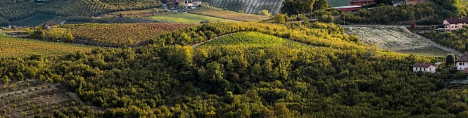 List Page Learn About Content Graphic