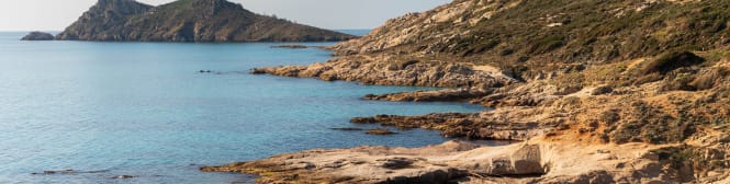 List Page Learn About Content Graphic