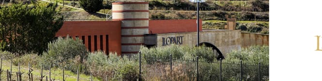 List Page Learn About Content Graphic