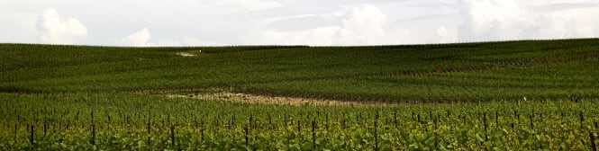 List Page Learn About Content Graphic