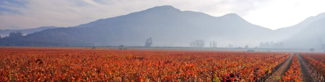 List Page Learn About Content Graphic