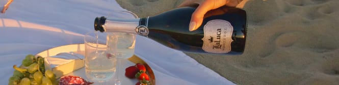 List Page Learn About Content Graphic