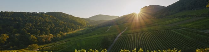 List Page Learn About Content Graphic