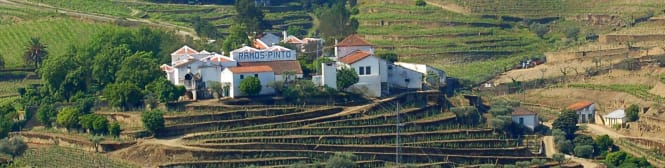 List Page Learn About Content Graphic