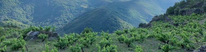 List Page Learn About Content Graphic