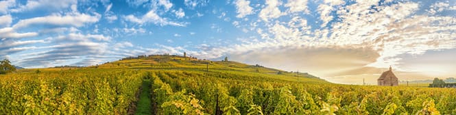 List Page Learn About Content Graphic