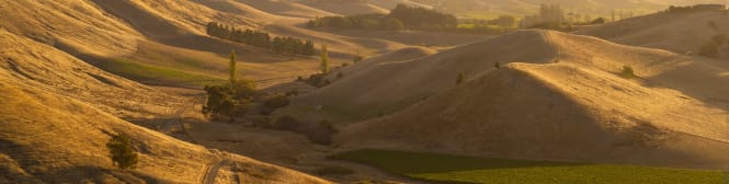 List Page Learn About Content Graphic