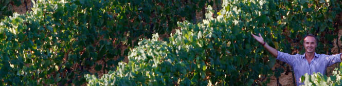 List Page Learn About Content Graphic