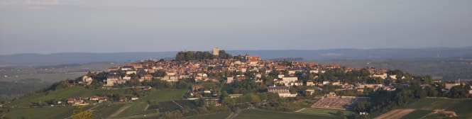 List Page Learn About Content Graphic