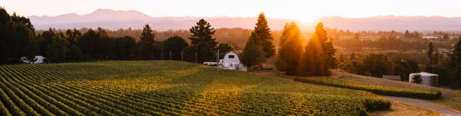 List Page Learn About Content Graphic