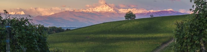 List Page Learn About Content Graphic