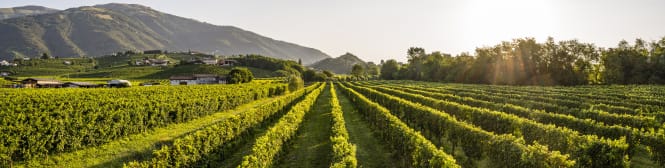 List Page Learn About Content Graphic