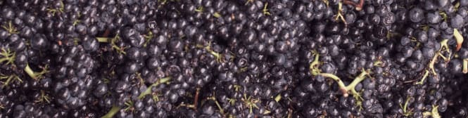 List Page Learn About Content Graphic