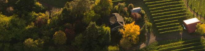 List Page Learn About Content Graphic