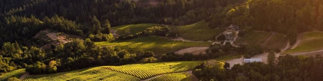 List Page Learn About Content Graphic