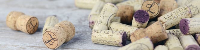 List Page Learn About Content Graphic