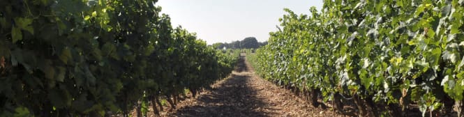 List Page Learn About Content Graphic