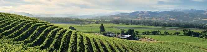 List Page Learn About Content Graphic