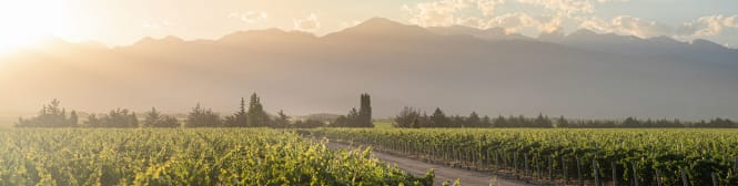 List Page Learn About Content Graphic