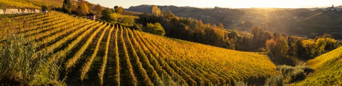 List Page Learn About Content Graphic